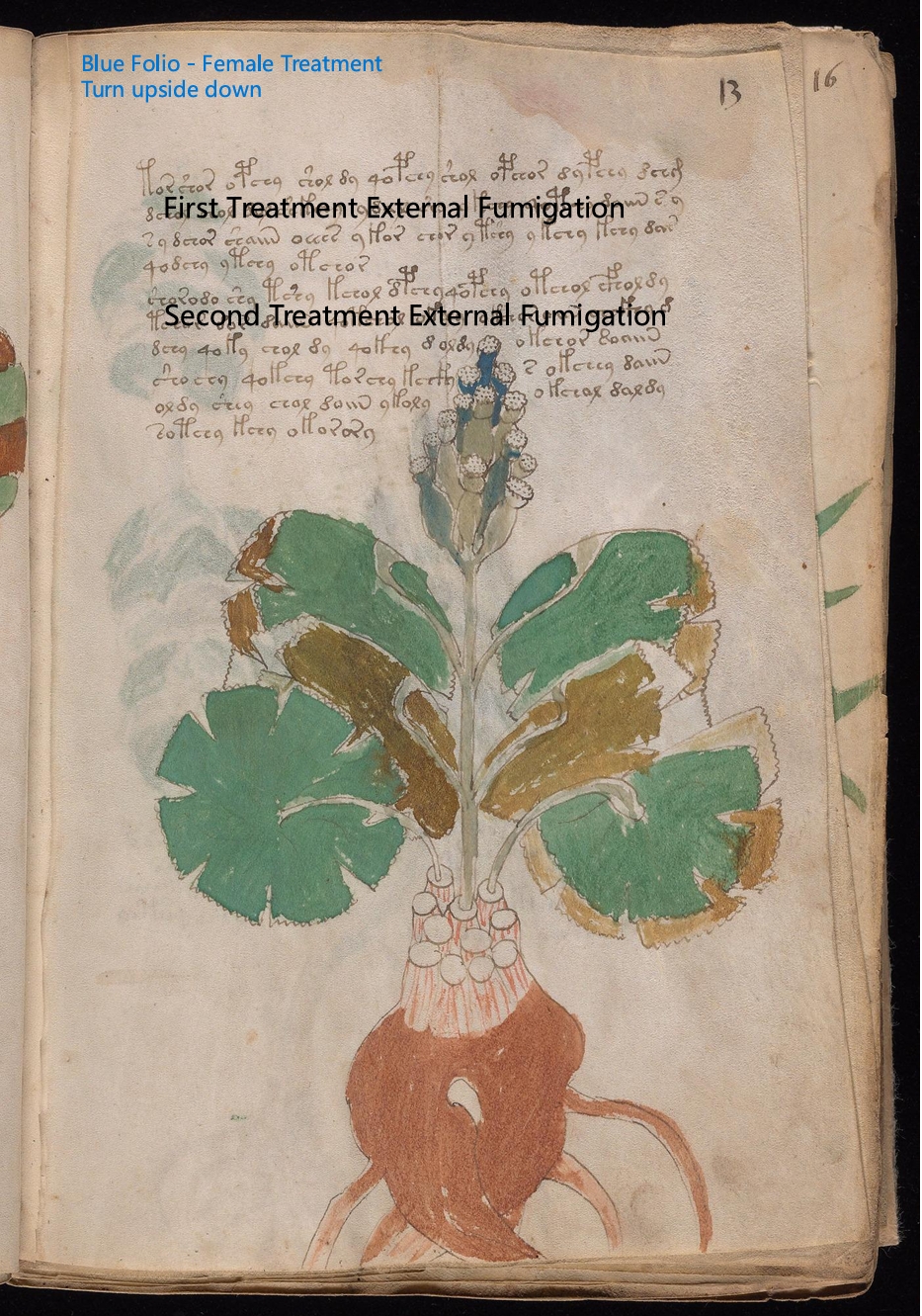 Secondary labelled diagram of Folio 13r